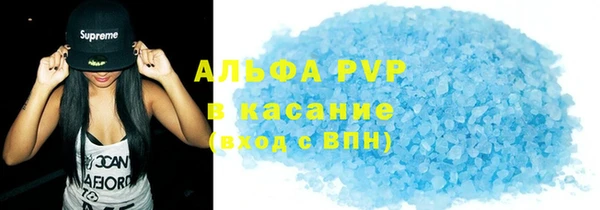 прущие грибы Пересвет