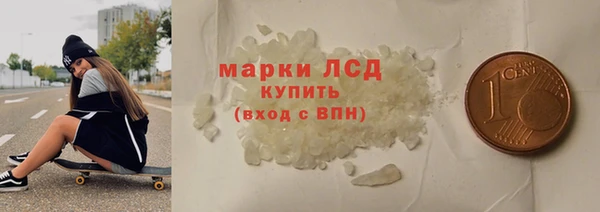 прущие грибы Пересвет