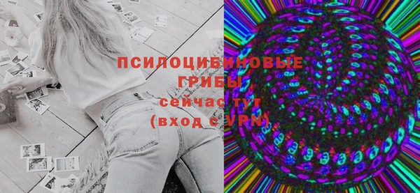 стаф Осташков