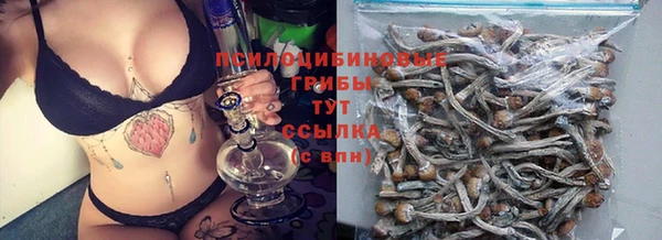 прущие грибы Пересвет