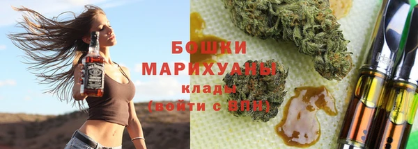 прущие грибы Пересвет