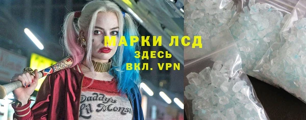 прущие грибы Пересвет