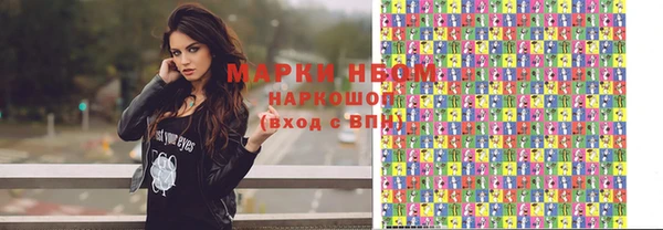 прущие грибы Пересвет
