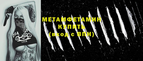 прущие грибы Пересвет